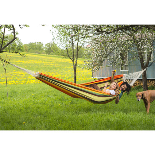 Freeport Park Baum-Hängematte | Wayfair.de